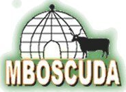 Mbororo Social and Cultural Development Association (MBOSCUDA)